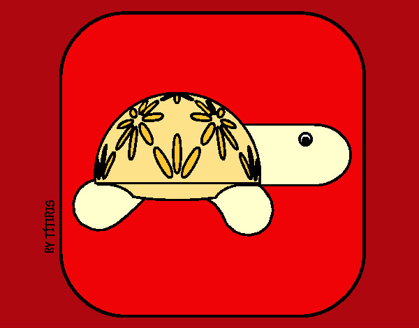 Tortuga 4