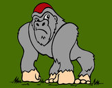 Dibujo Gorila 1 pintado por lobo-turro