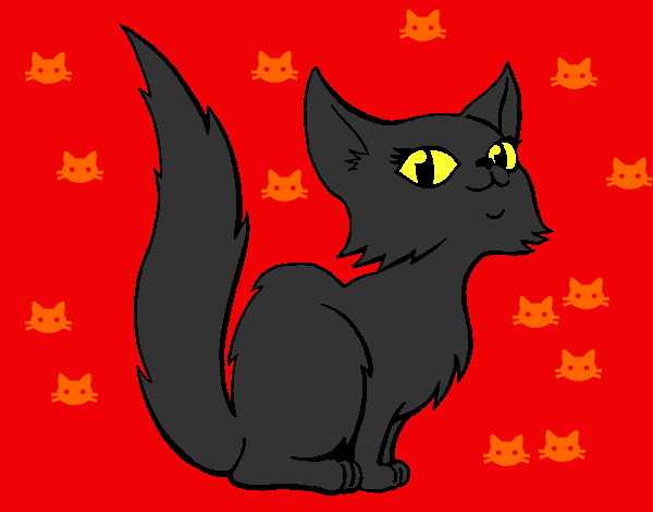 Dibujo Gata persa pintado por kittykatty