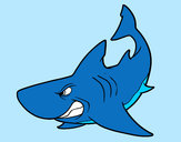 Dibujo Tiburón enfadado pintado por lobo-turro
