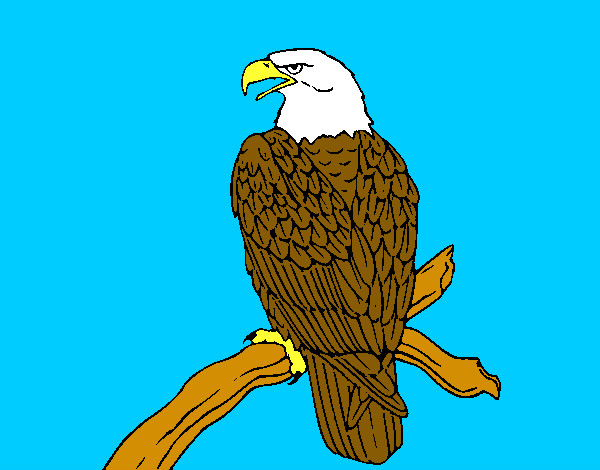 Dibujo Águila en una rama pintado por pingo
