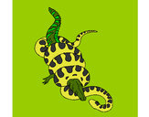 Dibujo Anaconda y caimán pintado por nuria2000