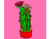 Dibujo Cactus con flores pintado por tucu