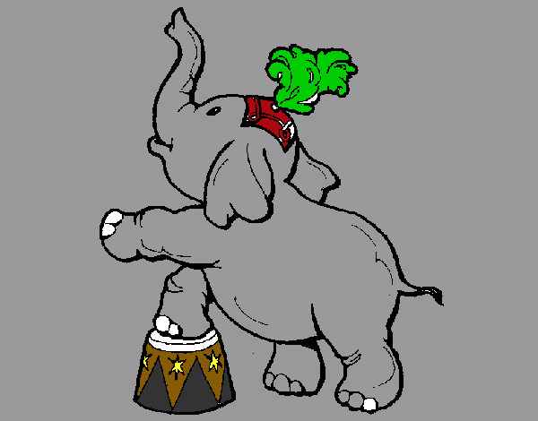 Elefante