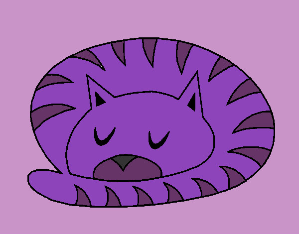 Gato durmiendo