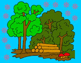 Dibujo Bosque 2 pintado por bellalinda