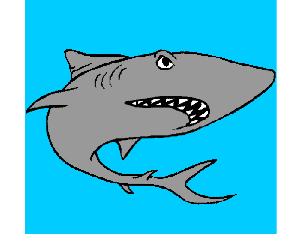 Dibujo Tiburón pintado por Andreyana