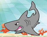Dibujo Tiburón enfadado pintado por fabito