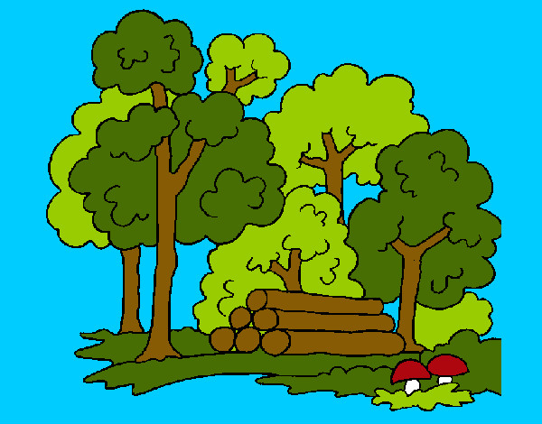 Dibujo Bosque 2 pintado por elturro