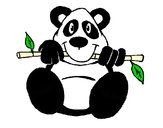 Dibujo Oso panda pintado por jjguti1616