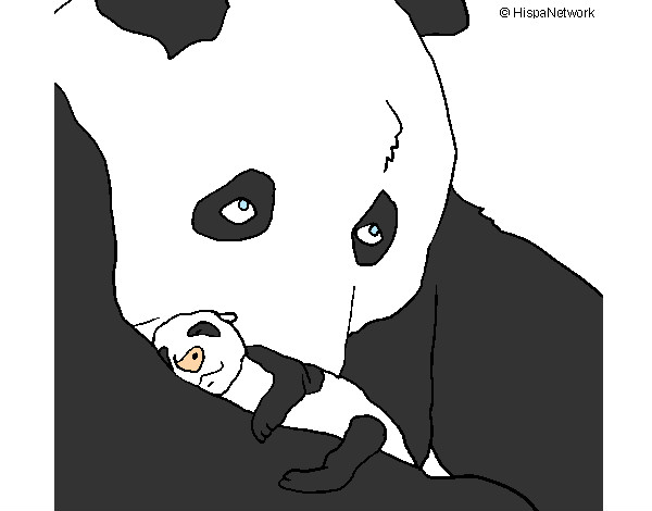 Oso panda con su cria