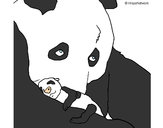 Dibujo Oso panda con su cria pintado por yorle