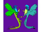 Dibujo Aves con largas colas pintado por lilima