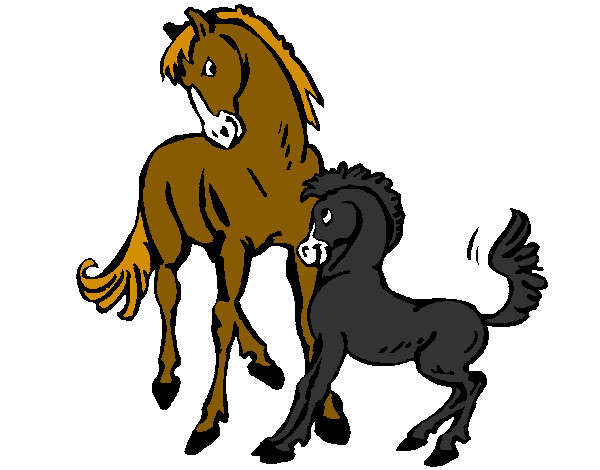 Caballos