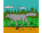 Dibujo Coyote pintado por rositamj