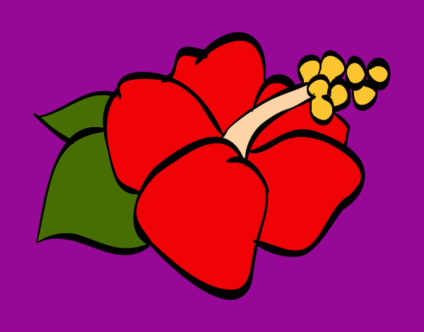 Dibujo Flor de lagunaria pintado por nayu