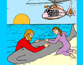 Dibujo Rescate ballena pintado por sofi_fuent