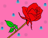 Dibujo Rosa pintado por juandiaz