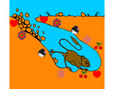 Dibujo Canguro rata pintado por nahiacampo