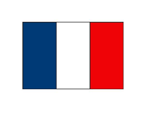 Dibujo Francia pintado por natamartin