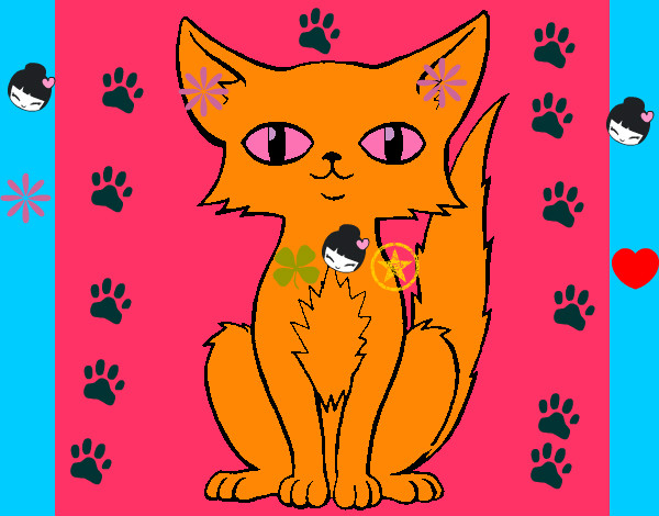 Dibujo Gato persa pintado por macheli