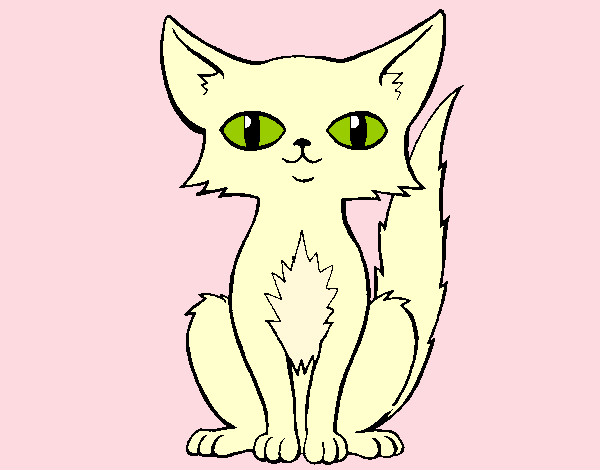 Dibujo Gato persa pintado por MaryLou