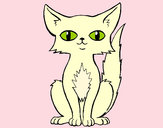 Dibujo Gato persa pintado por MaryLou
