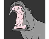 Dibujo Hipopótamo con la boca abierta pintado por Feer12