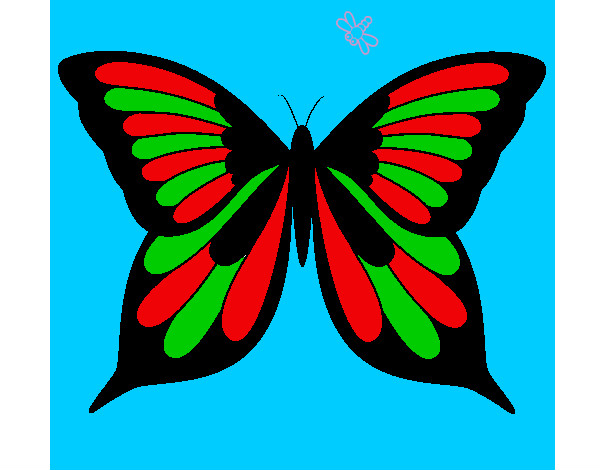 Mariposa 8