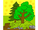 Dibujo Bosque 1 pintado por ericarive