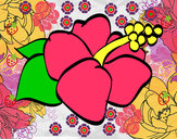 Dibujo Flor de lagunaria pintado por corasoncit