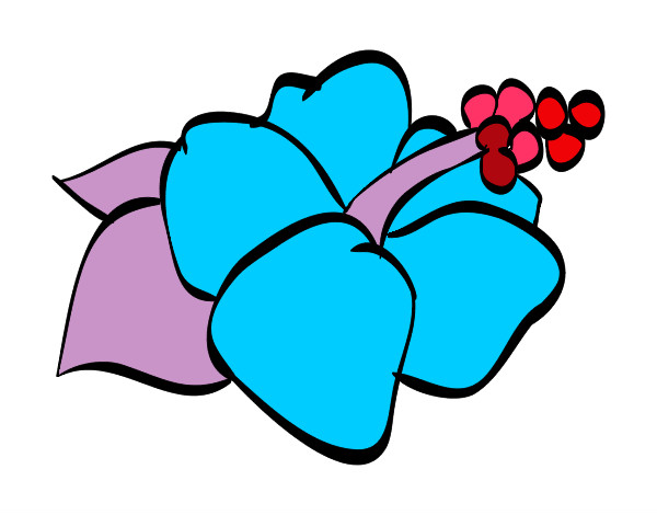Dibujo Flor de lagunaria pintado por DASACAY