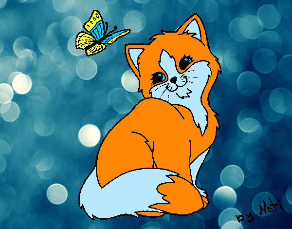 Dibujo Gatito y mariposa pintado por hhjk