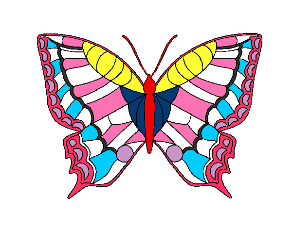 Mariposa 16