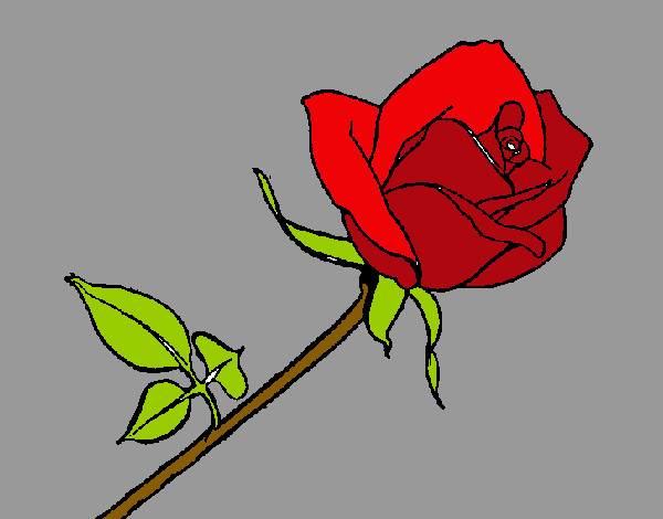Dibujo Rosa pintado por kellen