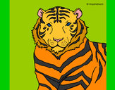 Dibujo Tigre 3 pintado por maximo10
