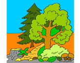Dibujo Bosque 1 pintado por rafavilla