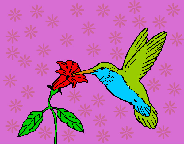 Colibrí y una flor