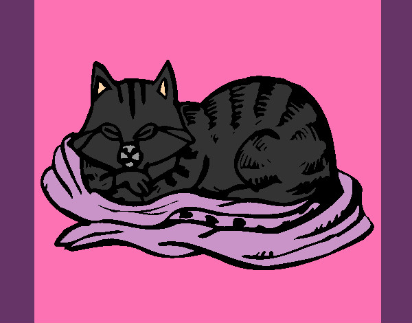 Dibujo Gato en su cama pintado por lolita45