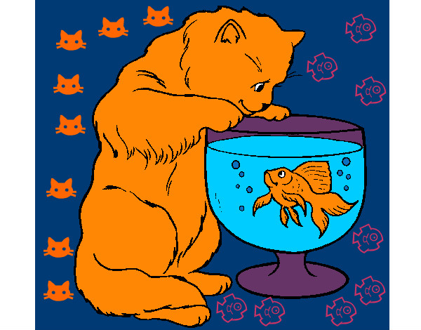 gatito y pez