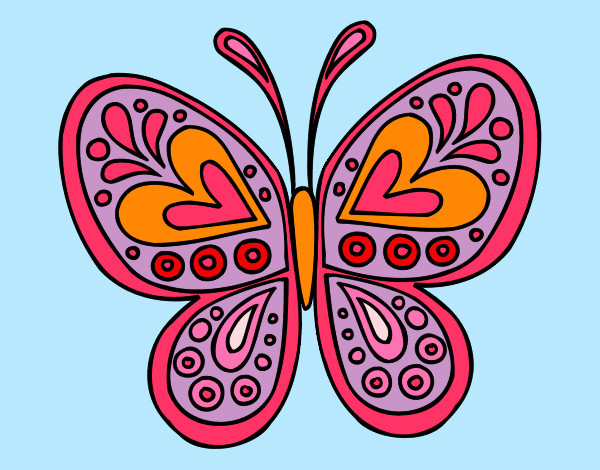 butterfly