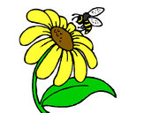 Dibujo Margarita con abeja pintado por suerte