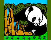 Dibujo Oso panda y bambú pintado por elpaspy