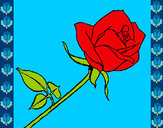 Dibujo Rosa pintado por flor111
