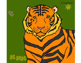 Dibujo Tigre 3 pintado por crispher