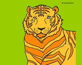 Dibujo Tigre 3 pintado por DaiaMelon