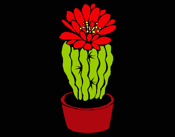 Cactus con flor