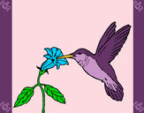 Dibujo Colibrí y una flor pintado por gaabyy