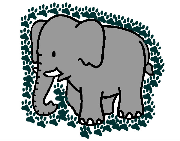 Dibujo Elefante bebe pintado por diana050
