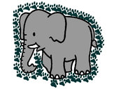 Dibujo Elefante bebe pintado por diana050